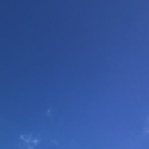 Meet your Posher, Kadin